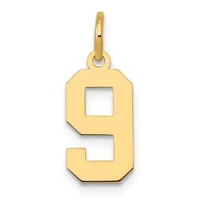 14k Yellow Gold, Athletic Collection, Small Polished Number 9 Pendant